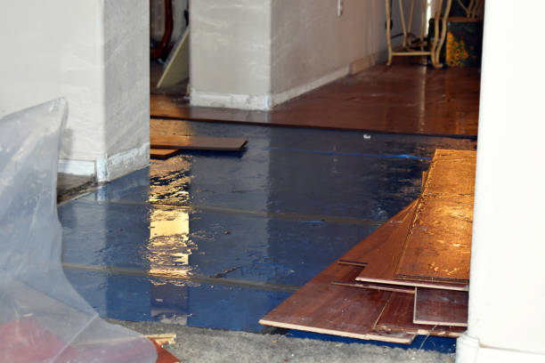 Professional Burst Pipe Cleanup technician working in Clare, MI